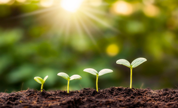 自分らしく生きる